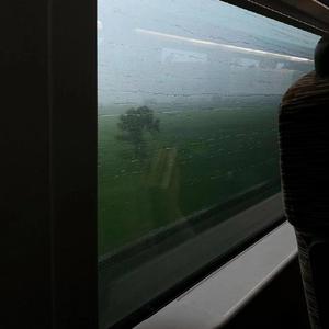 外国科普节目做爱片段
