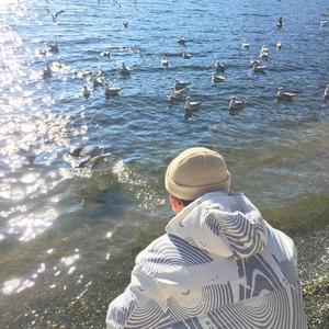 外国科普节目做爱片段
